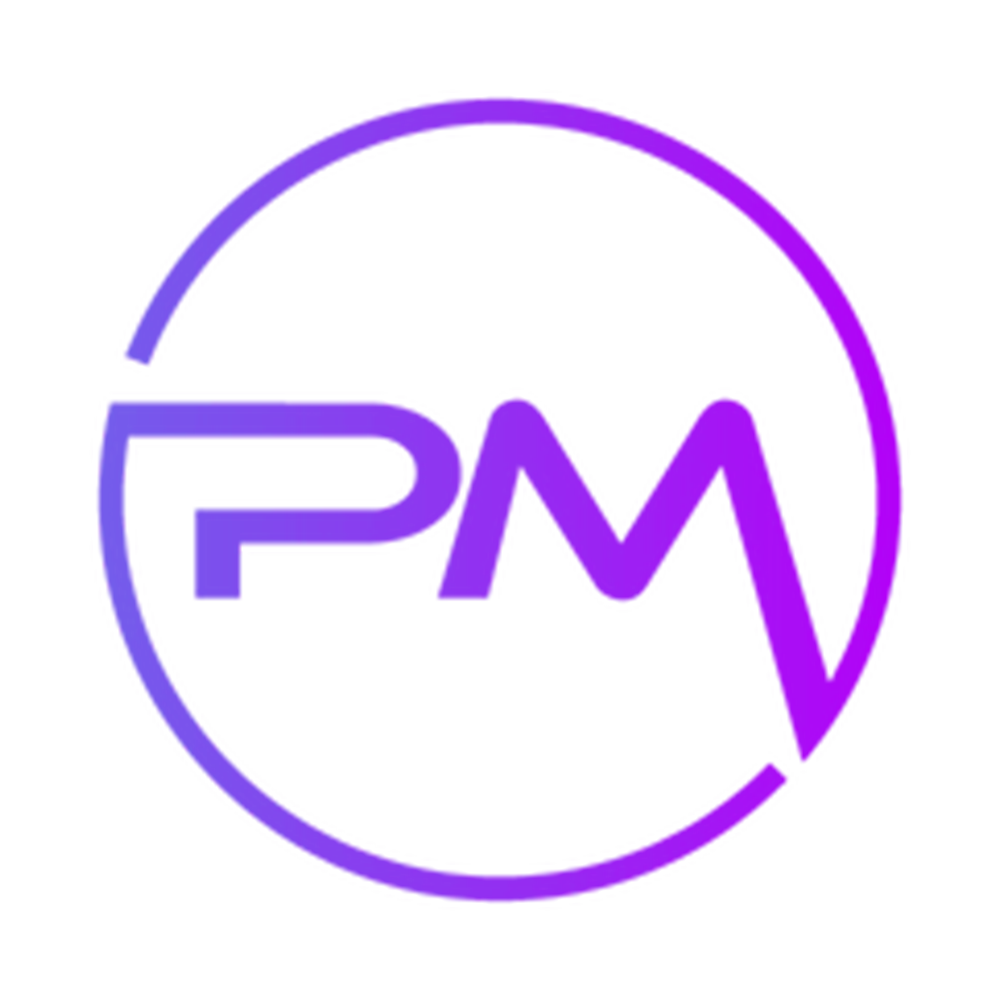 PM Digital Agency